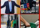 Le prix du gallon d’essence aux États-Unis dépasse un nouveau seuil critique, suscitant l’inquiétude.Quel est le nouveau prix du gallon d’essence aux États-Unis ?
