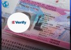 Information cruciale : tous les travailleurs bénéficiant du TPS pour Haïti verront leur autorisation de travail expirer. Quelle est la date exacte ?
