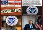 Amendes massives pour les migrants aux Etats-Unis.Quel est le montant maximum de l’amende mentionné ?