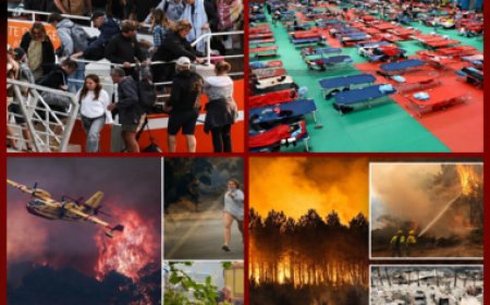 Incendies dévastateurs en Europe : plus de 250 000 personnes contraintes de fuir leur domicile en Espagne et en France. Quelle est la cause principale de ces feux ?