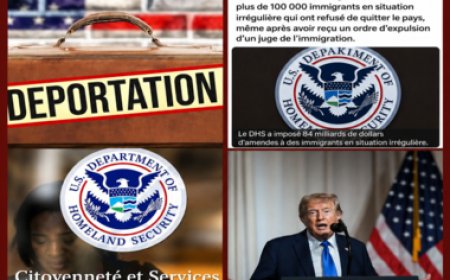 Amendes massives pour les migrants aux Etats-Unis.Quel est le montant maximum de l’amende mentionné ?