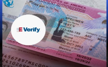 Information cruciale : tous les travailleurs bénéficiant du TPS pour Haïti verront leur autorisation de travail expirer. Quelle est la date exacte ?