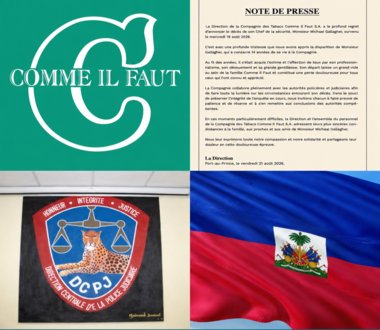 Assassinat de Michael Gallagher : 13 agents de sécurité arrêtés par la DCPJ, quelles sont les circonstances de sa mort ?