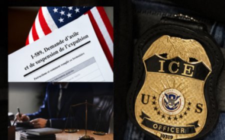 Un avocat spécialisé en immigration à New York se retrouve au cœur d’un scandale majeur après une décision sévère de l’Immigration and Customs Enforcement.