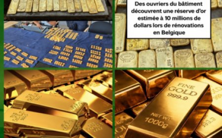 Découverte spectaculaire : une cargaison d’or a été découverte par des ouvriers.