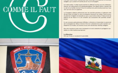 Assassinat de Michael Gallagher : 13 agents de sécurité arrêtés par la DCPJ, quelles sont les circonstances de sa mort ?