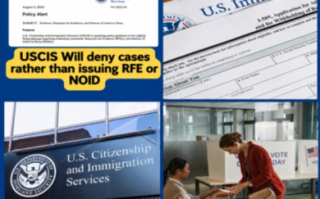 USCIS : une règle méconnue pourrait faire rejeter votre dossier immédiatement,concernant le TPS.