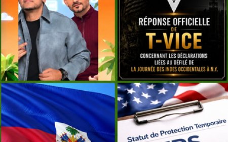 Le TPS et l’insécurité peuvent-ils expliquer l’absence de T-Vice au Carnaval de New York ?