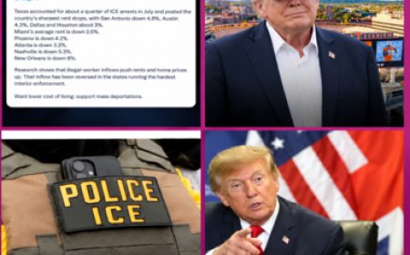 Baisse des loyers : le DHS pointe un lien avec les arrestations de migrants