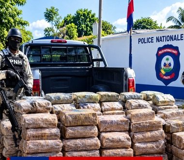 PNH : saisie de plus de 333 kg de marijuana à l’Île-à-Vache, une suspecte arrêtée