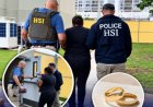 Un mariage, trois arrestations : ce qui se cachait derrière la cérémonie