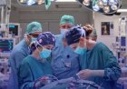 Épilepsie : cette technologie implantée en Israël pourrait-elle changer la vie des patients ?