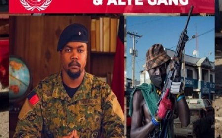 Haïti : Dimitri Hérard, un acteur clé dans l’ascension des gangs (Zèfèyis) selon l’ONU ?