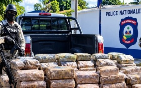 PNH : saisie de plus de 333 kg de marijuana à l’Île-à-Vache, une suspecte arrêtée