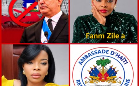 Une influenceuse haïtienne interpelle l’ambassade après les dégradations au stade