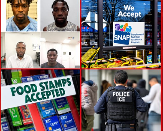 ICE arrête quatre Haïtiens aux États-Unis : une opération nationale sur les aides alimentaires fait polémique