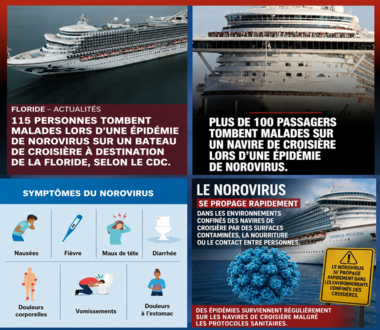 Mystère Viral en Mer des Caraïbes : Une épidémie de norovirus frappe un bateau de croisière en pleine mer , combien de personnes sont tombées malades ?