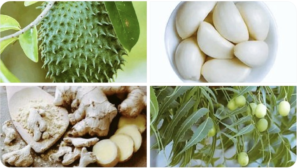 Ce mélange secret d’herbes améliore la santé de la prostate – Découvrez la recette miracle